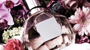 魔幻仙境 Viktor&Rolf Flowerbomb系列香水广告时尚完整版视频在线观看爱奇艺