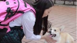 《一条叫王子的狗》主题曲 清纯女主献唱
