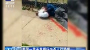 美国一男子直播行凶杀人引恐慌资讯高清正版视频在线观看–爱奇艺