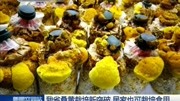 我省桑黄栽培新突破 居家也可栽培食用资讯搜索最新资讯爱奇艺