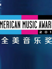 全美音乐奖 2016