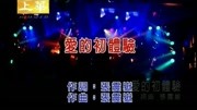 李翊君  爱的初体验音乐背景音乐视频音乐爱奇艺