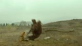管不住的孙猴子 一言不合就把龙变马？