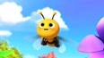 小蜜蜂别追啦