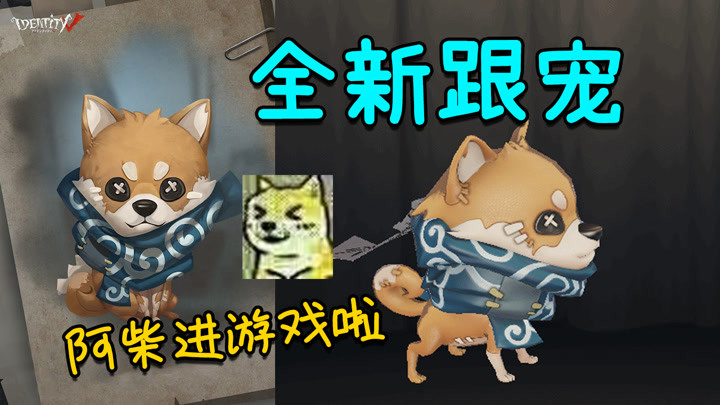 阿柴和兔兔