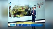 秘鲁黄色＂C＂位出道资讯搜索最新资讯爱奇艺