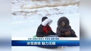 冰雪激情 魅力无限资讯高清正版视频在线观看–爱奇艺