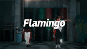 《口袋舞蹈》第20190330期正义SEGI编舞《Flamingo》 街头的浪漫【口袋舞蹈】生活完整版视频在线观看爱奇艺