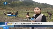 德化:富硒无花果营养价值高资讯搜索最新资讯爱奇艺