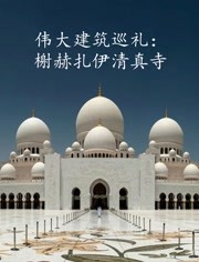伟大建筑巡礼：榭赫扎伊清真寺