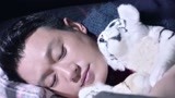 《如果爱》：耿墨池发现白考儿趴在身边睡着，恍惚以为梦到白考儿