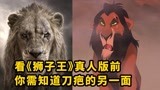 真人版《狮子王》观影指南，神还原动画版真的好吗