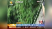 陕西紫阳:强降雨致河水暴涨 多个乡镇受灾资讯高清正版视频在线观看–爱奇艺