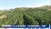 太行山农业创新驿站:为农民脱贫增收上“保险”资讯高清正版视频在线观看–爱奇艺