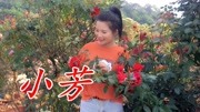 李春波经典成名曲《小芳》,当年很火的一首歌,经典至极!音乐背景音乐视频音乐爱奇艺