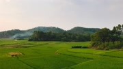 广东茂名寻龙之行,潜伏得非常妙的旺丁大富之风水留题福鼠下垌旅游完整版视频在线观看爱奇艺