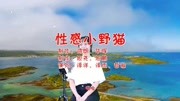 经典音乐,一首《性感小野猫》感情饱满,喉清韵雅音乐背景音乐视频音乐爱奇艺