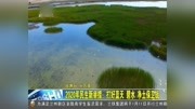 2020年民生新举措:打好蓝天 碧水 净土保卫战资讯搜索最新资讯爱奇艺