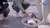 十二道锋味：吴彦祖霆锋在希腊迷路，偶遇小猫咪，学起希腊语