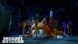 魔法总动员：小猫来到魔法屋，在地下室乱窜，到处闯祸
