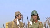红色电波：日本人侦查中国麦田，装备看着很奇怪，又有什么阴谋？