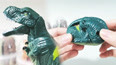变形恐龙玩具蛋 一只发育不良的霸王龙