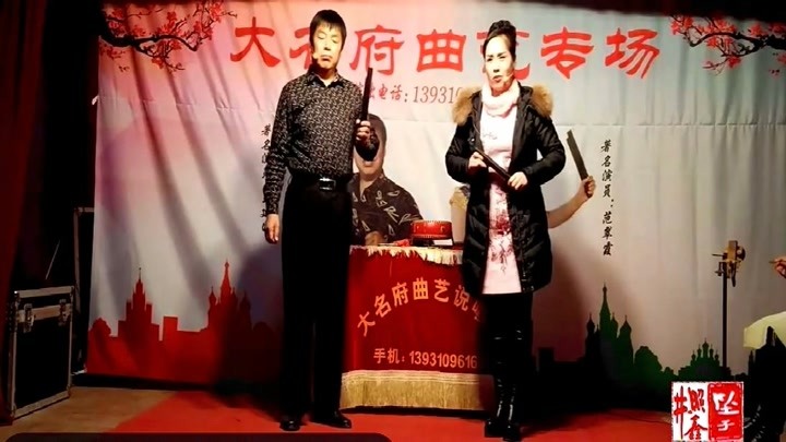 河南坠子 王建国 范翠霞 大宋奇冤 第九部 第九段