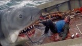 大白鲨：巨型鲨鱼跳出水面，一张嘴直接把船长活吞了！