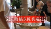 刘二狗 姚永纯 狗嫂刘刘搞笑完整版视频在线观看爱奇艺