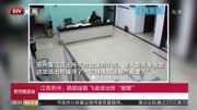 江苏苏州:鹦鹉迷路 飞进派出所“报警”资讯搜索最新资讯爱奇艺