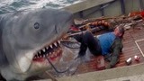 大白鲨：巨型鲨鱼跳出水面，一张嘴连船长都被活吞了！