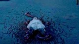奇门相术：男子酒醉遇死人，竟还看见蜈蚣运人，蜈蚣成精了？