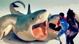 鲨滩：数吨重的鲨鱼追杀人类，美女急中生智，躲进水母成功反杀！