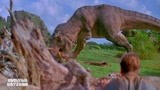 侏罗纪公园：霸王龙草地狩猎，一口一个，肉食恐龙真吓人