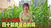 都说女人“三十如狼四十如虎”,女人真的是这样吗?生活完整版视频在线观看爱奇艺