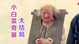 小白菜奇案33：案件终于告破，真相竟是这么荒唐，贪官下场真惨