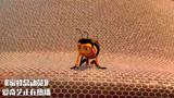 蜜蜂总动员：蜜蜂闯进别人家的蜂箱，差点被关在里面，太惊险