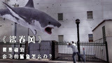 鲨鱼竟然被龙卷风带飞，从天而降攻击人类，灾难电影《鲨卷风》