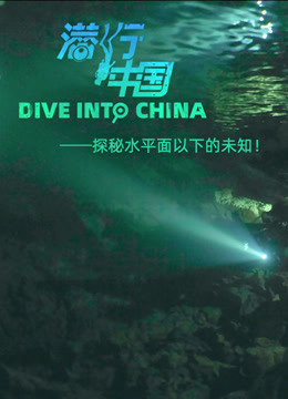  Dive Into China 日本語字幕 英語吹き替え