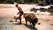 美女真被猪给“拱”了！模特海滩度假，却遭猪一口啃上臀部！