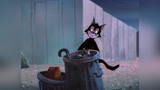 黑猫从垃圾桶里找食物 也是挺可怜的