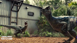 侏罗纪世界：小伙喂恐龙，却不小心掉进恐龙窝，又要招人了！