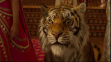 阿拉丁：王子被美色迷惑，竟拿手逗公主的老虎，结果太惨