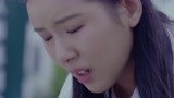 战狼犬：狗狗流离失所，最终凭借记忆找到主人，感人！
