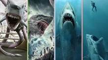 电影中的最强十大鲨鱼！虎鲨和巨齿鲨谁更强？