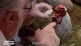 侏罗纪公园：霸王龙孵化全部过程，没想到刚出生的它还挺可爱