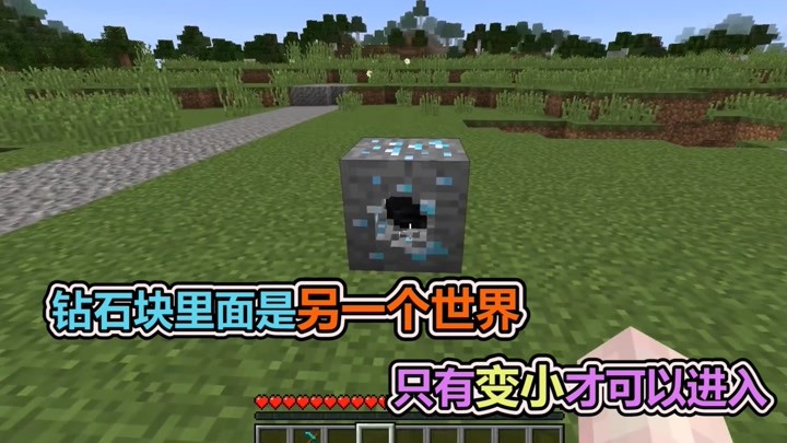 老玩家小熊
