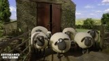 小羊肖恩：农场主要它们们跳山羊，把自己催眠了，小羊们笑傻了