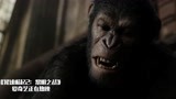 猩球崛起：猩猩用武器，打败了人类，统治了整个世界！