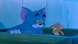 猫和老鼠：汤姆和杰瑞联手整主人，最后主人反而来道歉！